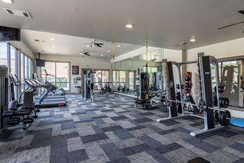 Modern fitness equipments